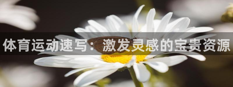 必威betway西汉姆联