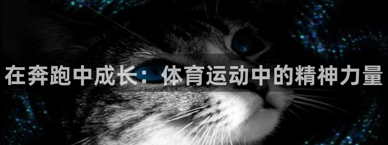 betway西汉姆官网