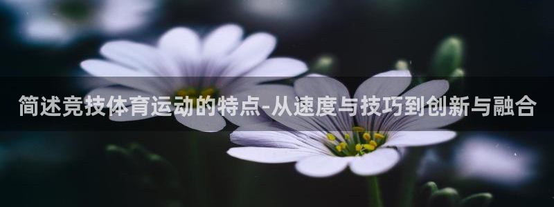 betway西汉姆联