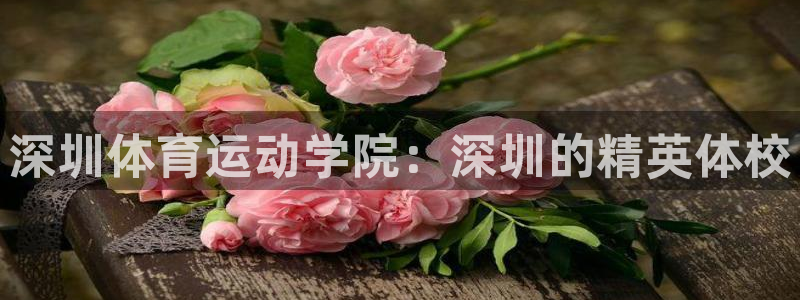 必威betway西汉姆联