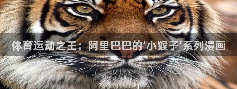 必威betway西汉姆联