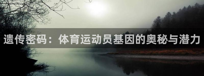 betway西汉姆官网