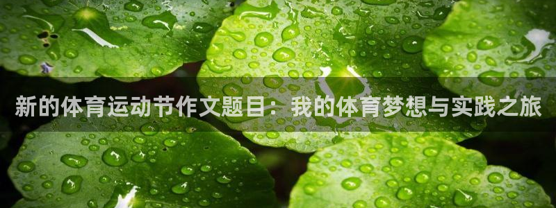 betway西汉姆官网
